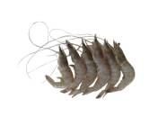 FRESH@1 400g PRAWNS SMALL